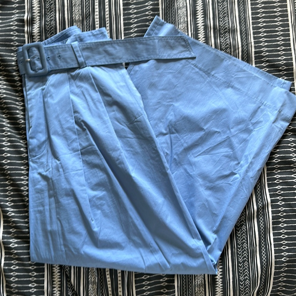 Zara Super Wide Leg Belted Pants